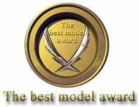 best_model_award.jpg